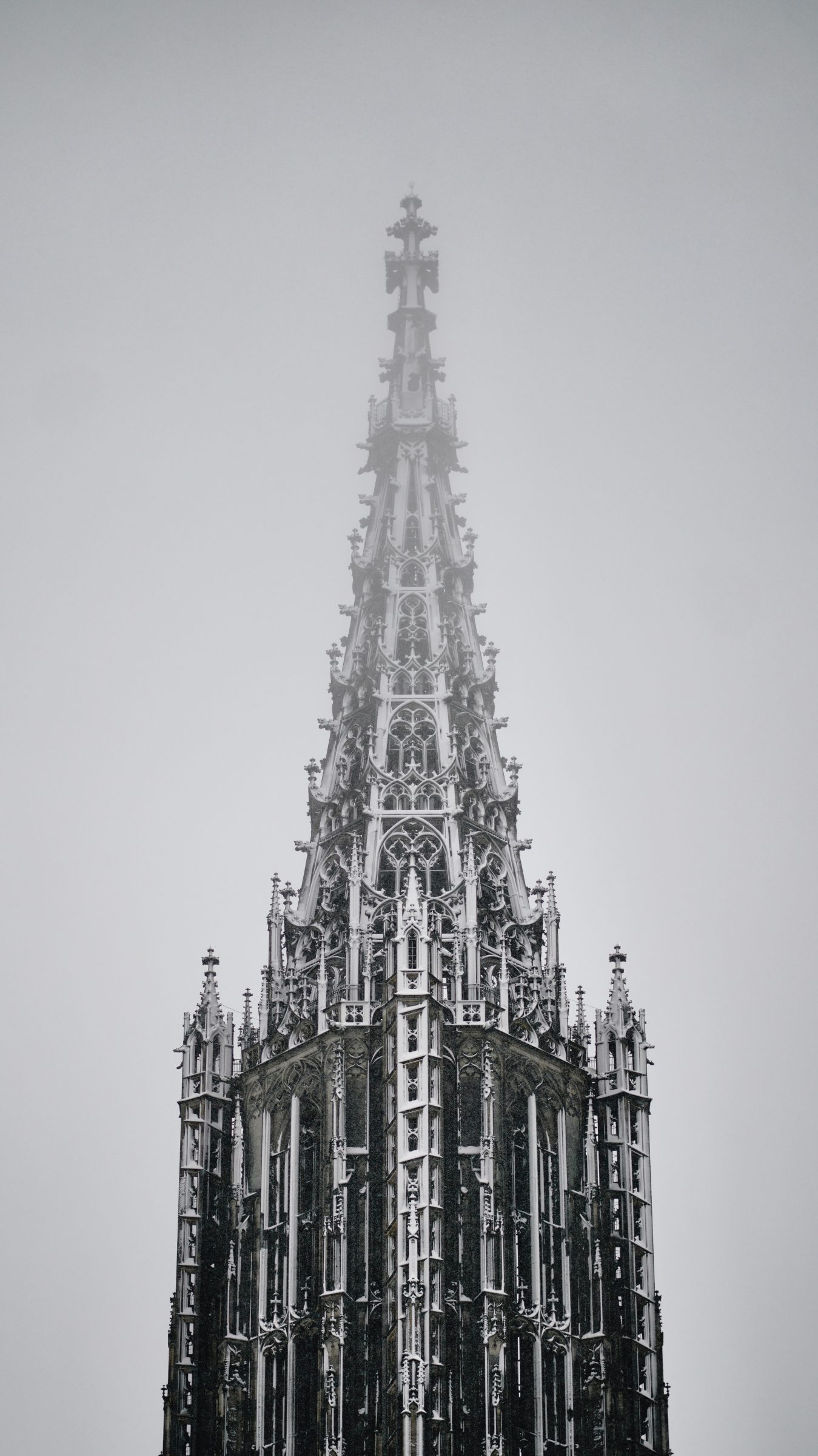 Ulm